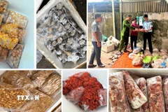 Chủ cơ sở thừa nhận, số hàng hoá trên được thu mua trôi nổi trên thị trường với giá thành rẻ, sau đó mang về cấp đông và chủ yếu bán cho các quán nướng vỉa hè, quán lẩu, quán nhậu, quán ăn vặt… (Ảnh: TTXVN phát)