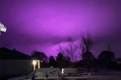 Ảnh minh họa. (Nguồn: AP)