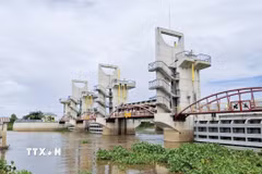 Cống Trà Sư (phường Thới Sơn, tỉnh An Giang) có vài trò điều tiết nguồn nước, kiểm soát lũ, bảo vệ sản xuất vùng Tứ giác Long Xuyên. (Ảnh: Thanh Sang/TTXVN)