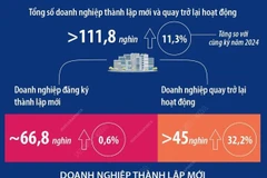 Số doanh nghiệp thành lập mới và quay trở lại hoạt động tăng 11,3% 