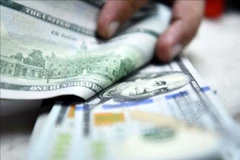 Đồng tiền mệnh giá 100USD. (Ảnh minh họa: THX/TTXVN)