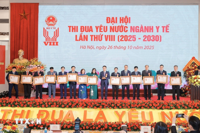 Vice premiärminister Le Thanh Long delade ut arbetsmedaljen till 14 personer. (Foto: Minh Quyet/VNA) ttxvn-huan-chuong.jpg