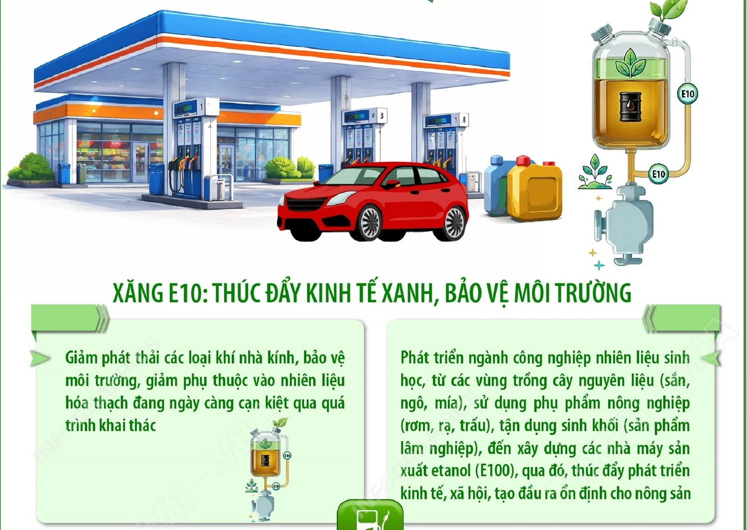 Xăng E10 chính thức triển khai toàn quốc từ 1/6/2026