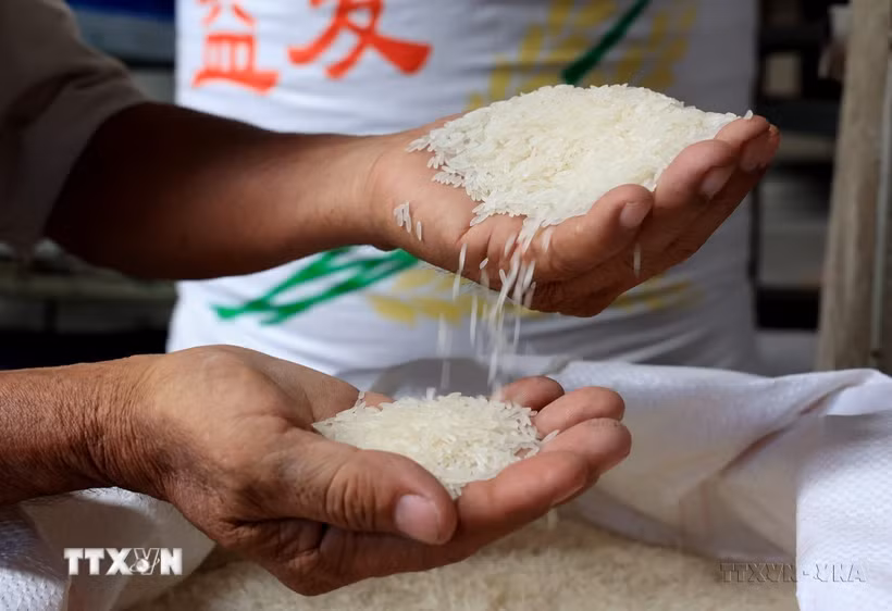 Việt Nam xuất khẩu sang Timor-Leste mặt hàng chủ yếu là gạo, còn lại là hàng tiêu dùng, thực phẩm chế biến. (Ảnh: Hồng Đạt/TTXVN)