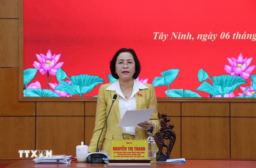 Phó Chủ tịch Quốc hội Nguyễn Thị Thanh phát biểu tại buổi làm việc. (Ảnh: Bùi Giang/TTXVN)