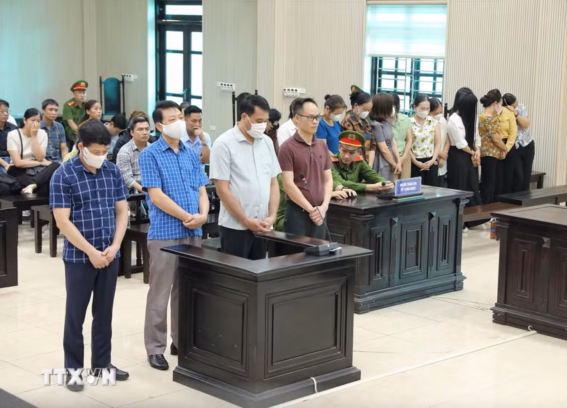 Các bị cáo nghe tuyên án. (Ảnh: Danh Lam/TTXVN)
