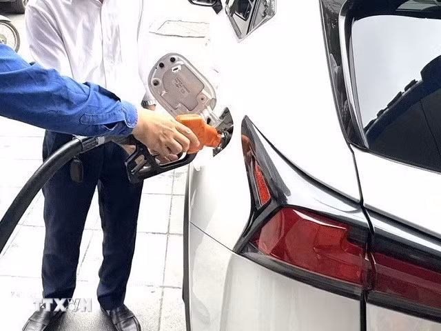 Hoạt động kinh doanh tại một cửa hàng xăng dầu trên địa bàn Hà Nội. (Ảnh: Quốc Lũy/TTXVN)