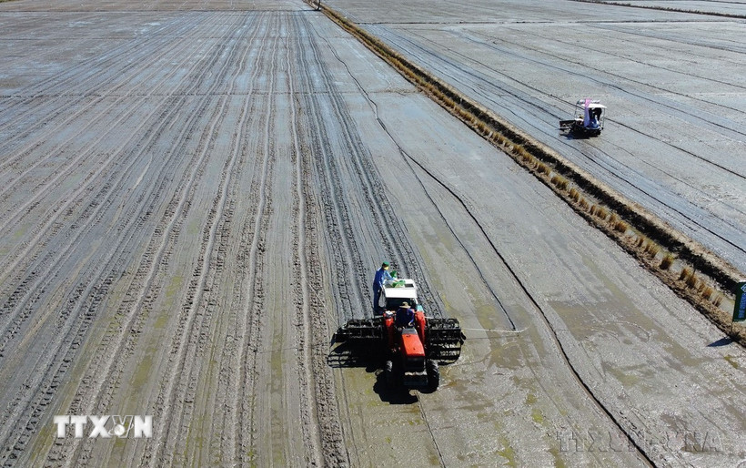 Cơ giới hóa trong khâu gieo sạ đối với diện tích tham gia mô hình canh tác lúa chất lượng cao, giảm phát thải tại huyện Tháp Mười (tỉnh Đồng Tháp). (Ảnh: Nhựt An/TTXVN)