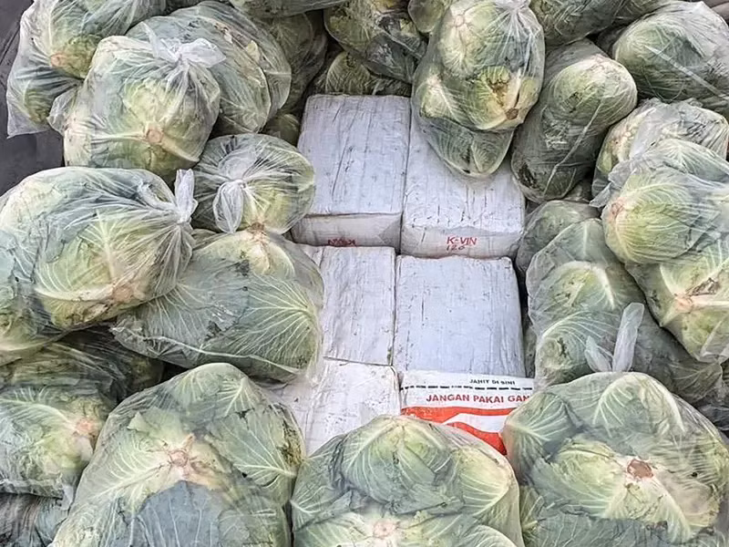 900kg ketamine và 700kg ma túy đá được chia thành nhiều kiện hàng giấu bên dưới các túi rau bắp cải chất trên thùng xe. (Nguồn: AFP)