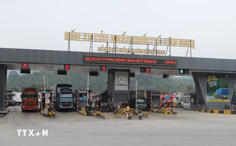 Phương tiện chở hàng xuất nhập khẩu lưu thông qua bến bãi khu vực cửa khẩu Quốc tế Hữu Nghị, tỉnh Lạng Sơn. (Ảnh: Quang Duy/TTXVN)