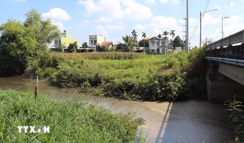 Kênh Chìm Sơn Tịnh gây ô nhiễm gây bức xúc cho người dân sống ở hạ lưu kênh. (Ảnh: Đinh Hương/TTXVN)