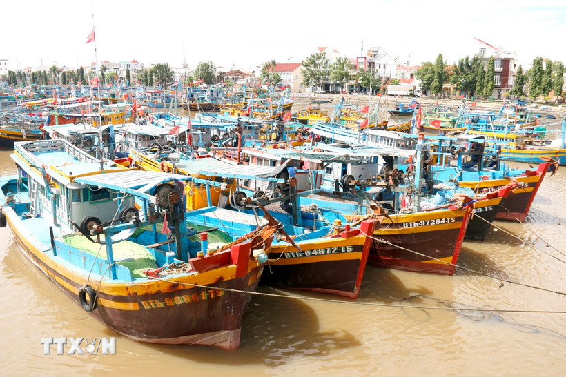 Trung tâm Đăng kiểm tàu cá.