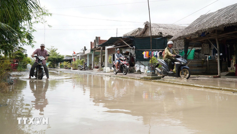 Các kỳ triều cường cao vào cuối năm 2026 được dự báo sẽ có mực nước tương đương với mức đỉnh của năm 2025, đặt ra yêu cầu cao về công tác hộ đê và chống ngập. (Ảnh: Huỳnh Anh/TTXVN)