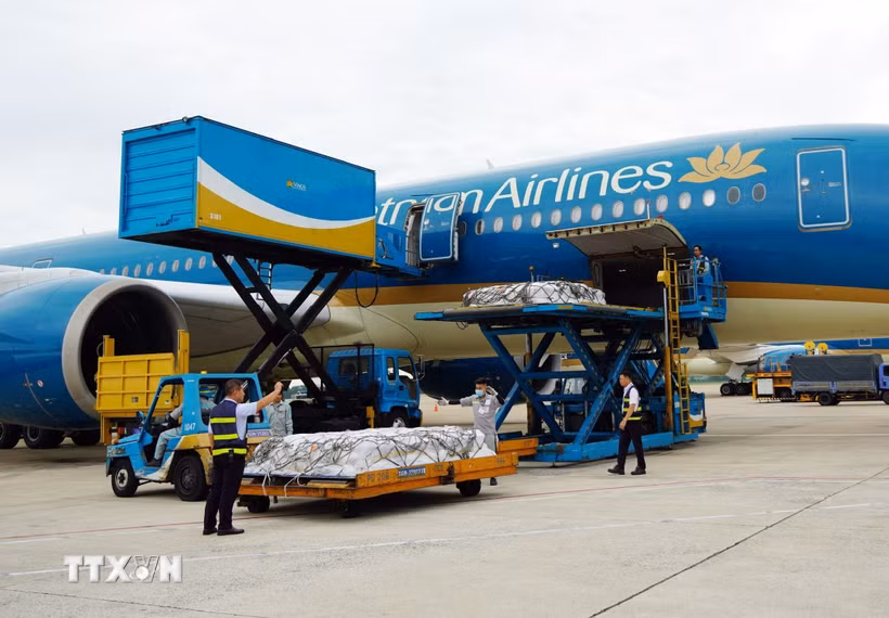 Hoàn tất các thủ tục đưa thi hài các du khách Ấn Độ tử nạn trong vụ lật canô tại Phú Quốc về nước. (Ảnh: TTXVN phát)