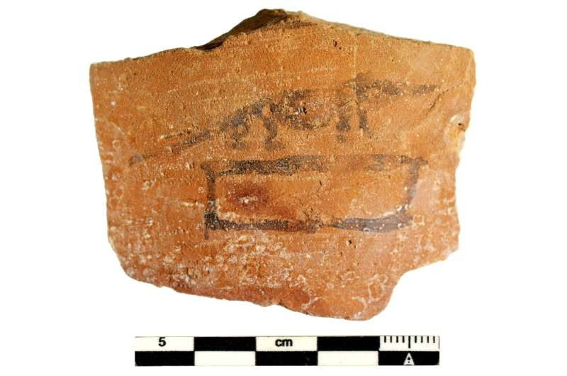 Hình vẽ một con chuột chù, loài vật linh thiêng của thần Haroeris. (Nguồn: Dự án Tübingen Athribis)