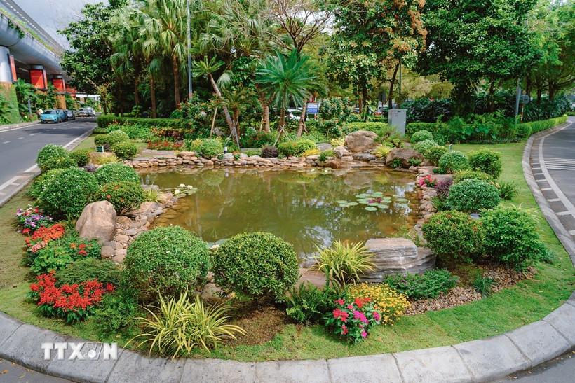 Hồ cá sinh thái tuần hoàn từ nước thải tái chế tại Nhà ga quốc tế Đà Nẵng vừa ra mắt. (Ảnh: TTXVN phát)