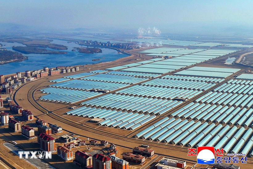 Quang cảnh trang trại nhà kính ở Sinuiju, Triều Tiên. (Ảnh: Yonhap/TTXVN)