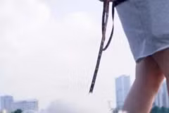 Dắt chó đi dạo không đúng quy định, bị phạt đến 2 triệu đồng? 