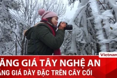 Đồn Biên phòng Na Ngoi ghi nhận mức nhiệt -5 độ C, Nghệ An thời tiết khắc nghiệt