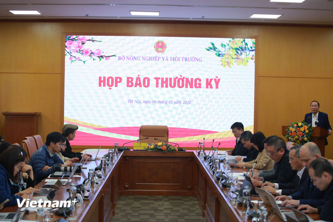 vnp-hop-bao.jpg
