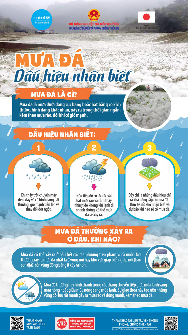 info-1-mua-da-dau-hieu-nhan-biet-d.jpg