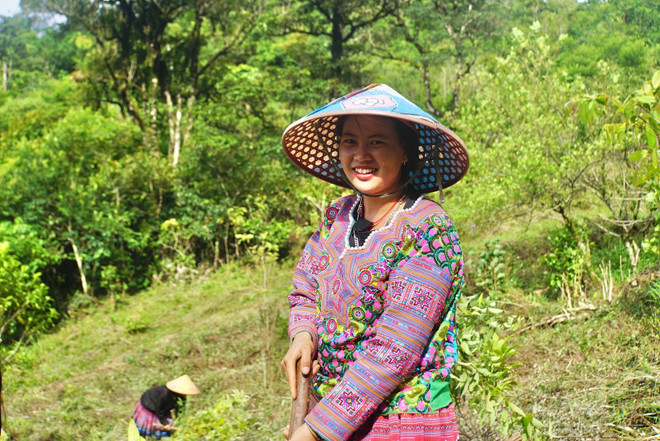 (Ảnh minh họa. Nguồn: PanNature) dsc05590.jpg