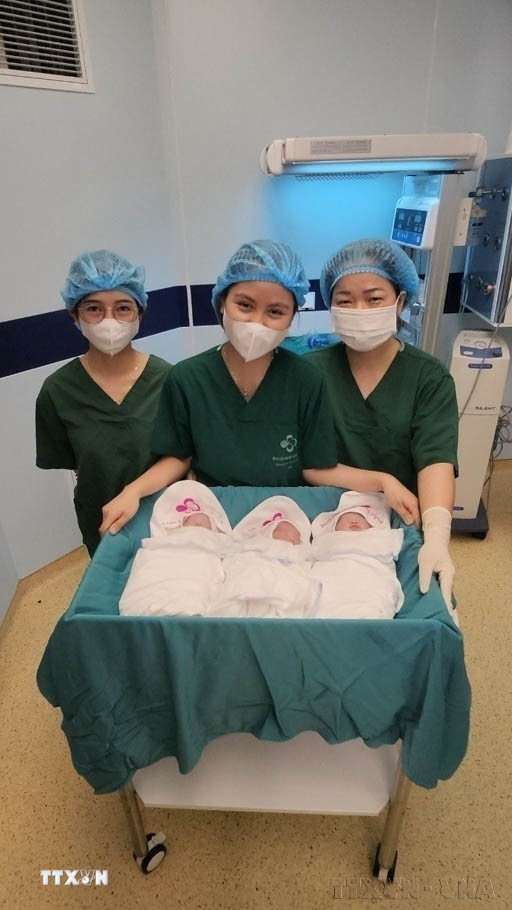 Bệnh viện Sản Nhi tỉnh Phú Thọ mổ đẻ thành công cho sản phụ mang tam thai một bé trai khác trứng và 2 bé gái cùng trứng. Đây là một trường hợp mang thai tự nhiên rất hiếm gặp, năm 2023. (Ảnh: TTXVN phát)