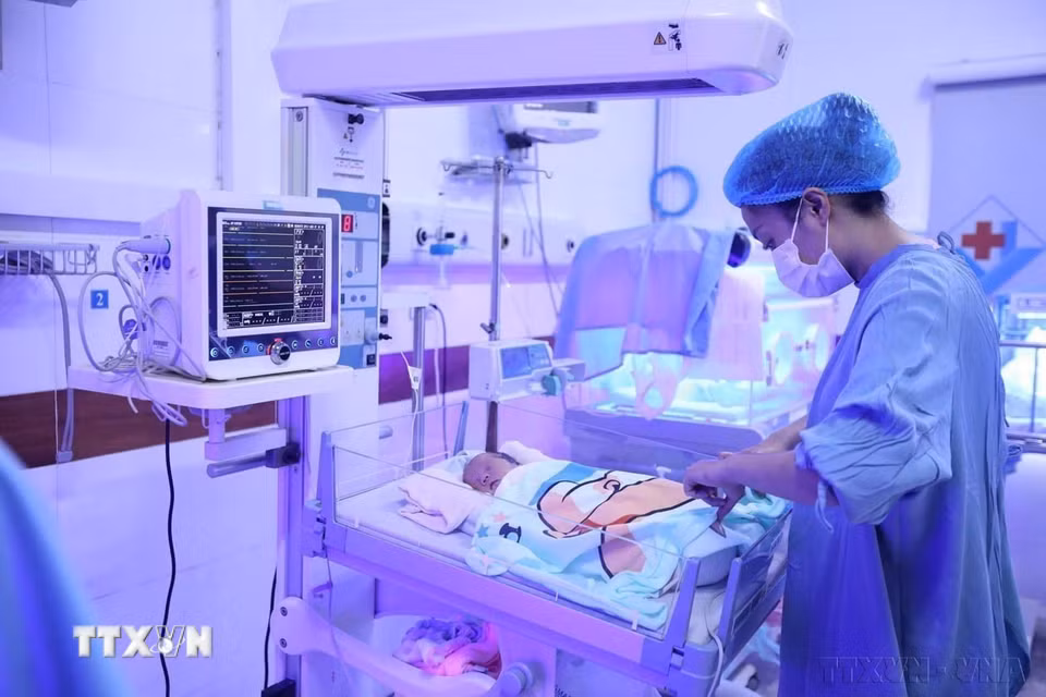 Khu điều trị tích cực cho bệnh nhi sơ sinh tại Bệnh viện Đa khoa Hùng Vương, tỉnh Phú Thọ. Đây là bệnh viện ngoài công lập với nhiều thiết bị y tế hiện đại, đồng bộ, được đánh giá cao về chất lượng khám, chữa bệnh với đội ngũ bác sỹ được đào tạo, chuyển giao kỹ thuật từ các bệnh viện đầu ngành tuyến Trung ương. (Ảnh: Minh Quyết/TTXVN)