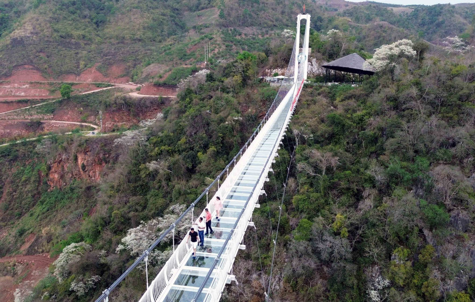 Cầu kính Bạch Long, Khu du lịch Mộc Châu Island luôn là địa điểm hấp dẫn du khách. (Ảnh: Quang Quyết/TTXVN)