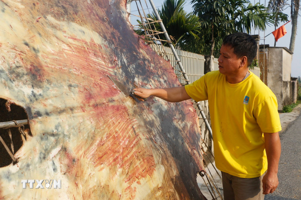 Da bò mua về được rửa sạch, hoàn toàn không dùng hóa chất mà được xử lý thủ công, bào mỏng căng ra trên khung tre phơi nắng từ 2-3 ngày rồi đưa vào bóng mát để 2-3 tiếng đồng hồ cho nhuần lại rồi mới căng, bào da, đo cắt theo kích thước và hình mặt trống. (Ảnh: Bích Huệ/TTXVN)