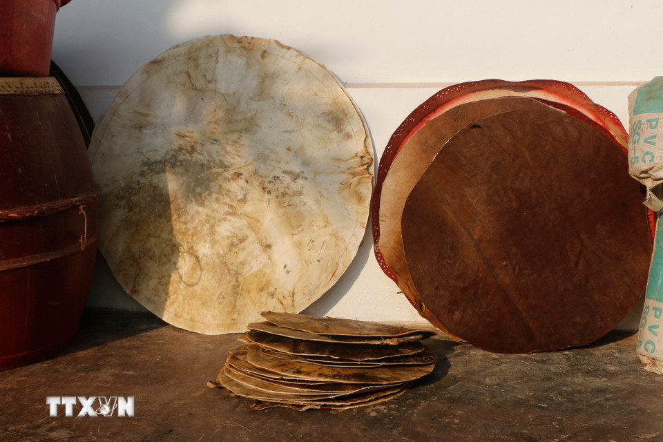 Da bò mua về được rửa sạch, hoàn toàn không dùng hóa chất mà được xử lý thủ công rồi mới căng, bào da, đo cắt theo kích thước và hình mặt trống. (Ảnh: Bích Huệ/TTXVN)