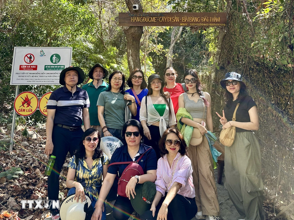 Khách du lịch khám phá, trải nghiệm tuyến du lịch sinh thái, trải nghiệm Cây Di sản, Hang Đức Mẹ, Bãi Bàng-Đất Thắm. (Ảnh: TTXVN phát)