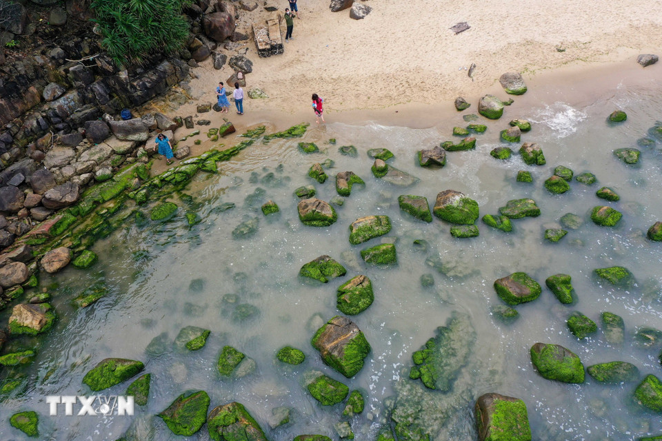 Những tảng đá được phủ một màu xanh mướt của rêu. (Ảnh: Trần Lê Lâm/TTXVN)