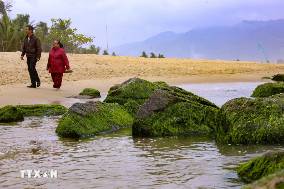 Du khách tản bộ thưởng thức không gian xanh mát tại ghềnh đá rêu xanh Nam Ô. (Ảnh: Trần Lê Lâm/TTXVN)