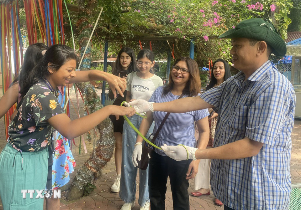 Du khách trải nghiệm tiếp xúc với loài rắn không độc. (Ảnh: TTXVN phát)