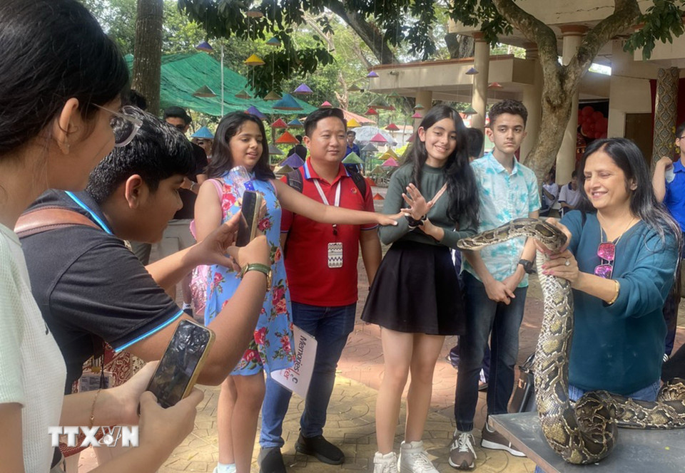 Khách nước ngoài thích thú trải nghiệm tiếp xúc với trăn ở trại rắn Đồng Tâm. (Ảnh: TTXVN phát)