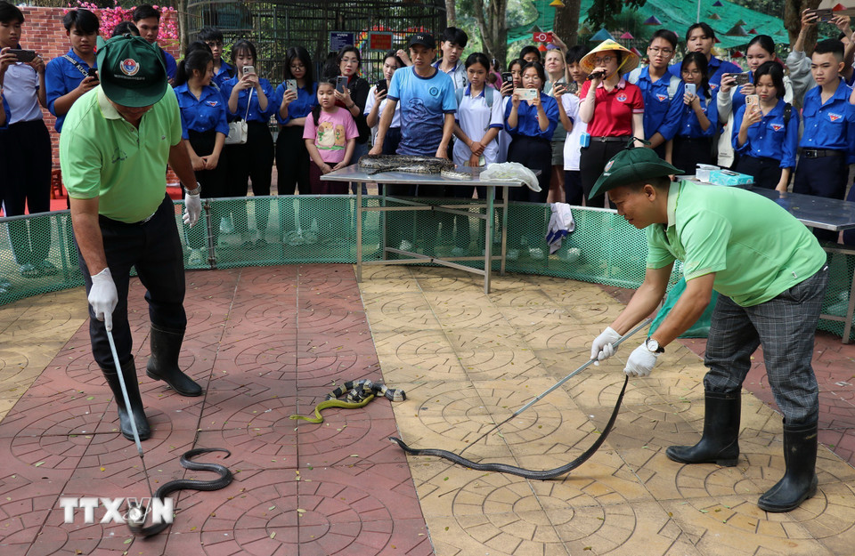 Du khách xem biểu diễn cách bắt rắn. (Ảnh: Hữu Chí/TTXVN)