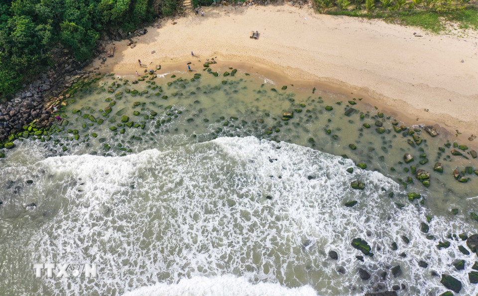 Khi thủy triều rút vào buổi sáng để lộ ra những thảm rêu xanh. (Ảnh: Trần Lê Lâm/TTXVN)