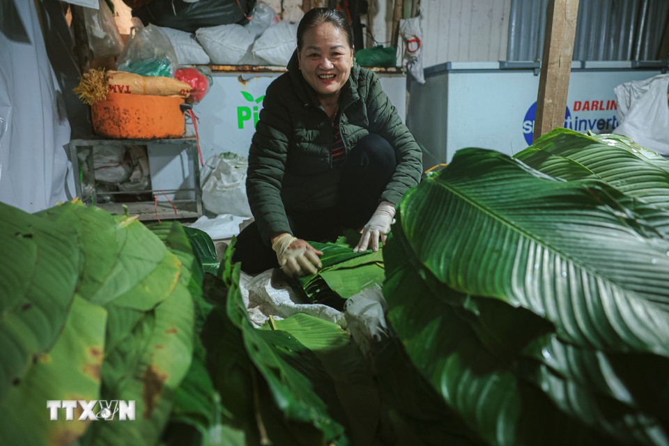 Chuẩn bị lá dong trước khi gói bánh. (Ảnh: Hoàng Hiếu/TTXVN)