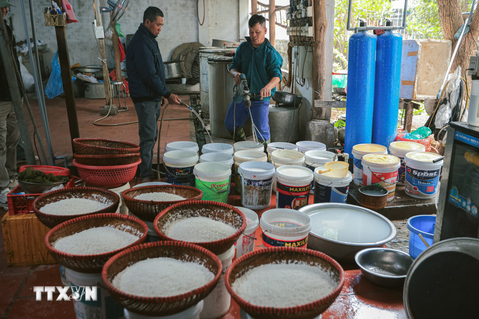 Công đoạn vo gạo tại hộ làm bánh truyền thống Nguyễn Văn Điềm. (Ảnh: Hoàng Hiếu/TTXVN)