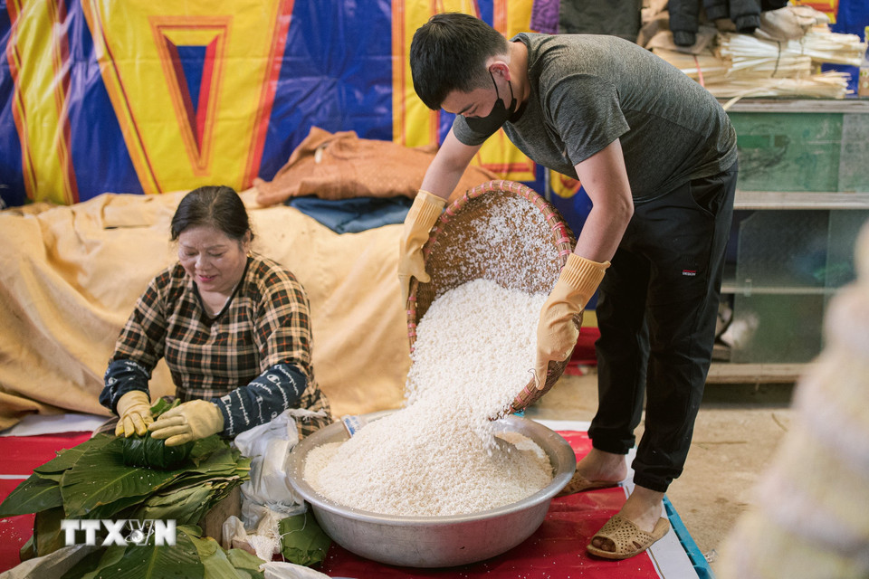 Gạo để gói bánh chưng Tranh Khúc thường là gạo nếp nhung hoặc nếp cái hoa vàng ở Hải Hậu, tỉnh Nam Định, giúp bánh ngon, ngọt. (Ảnh: Phạm Tuấn Anh/TTXVN)