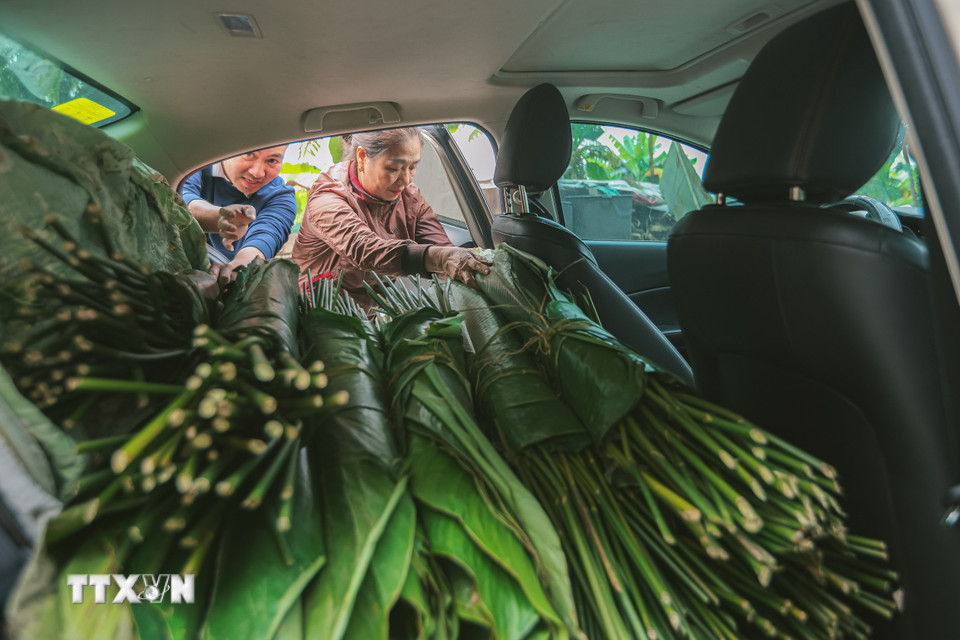 Một chiếc xe con chở đầy lá dong. (Ảnh: Hoàng Hiếu/TTXVN)