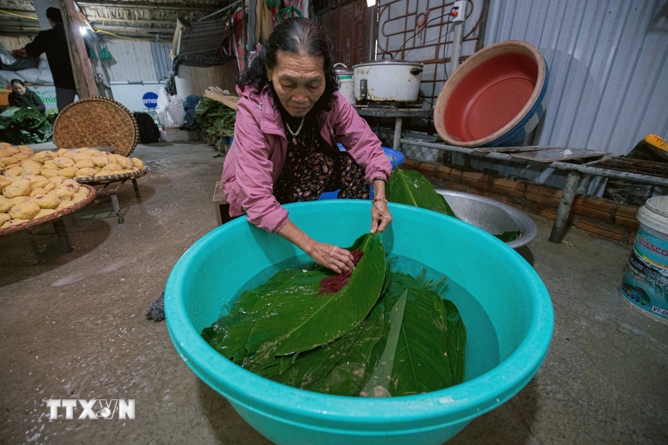 Lá dong được rửa sạch, lau khô, để ráo nước trước khi gói bánh. (Ảnh: Phạm Tuấn Anh/TTXVN)