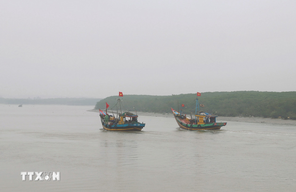 Một số ít phương tiện thuyền đánh cá của ngư dân đang trên đường vào cảng cá sau hành sau chuyến ra khơi với lịch trình khai thác đi, về trong ngày. (Ảnh: Xuân Tiến/TTXVN)