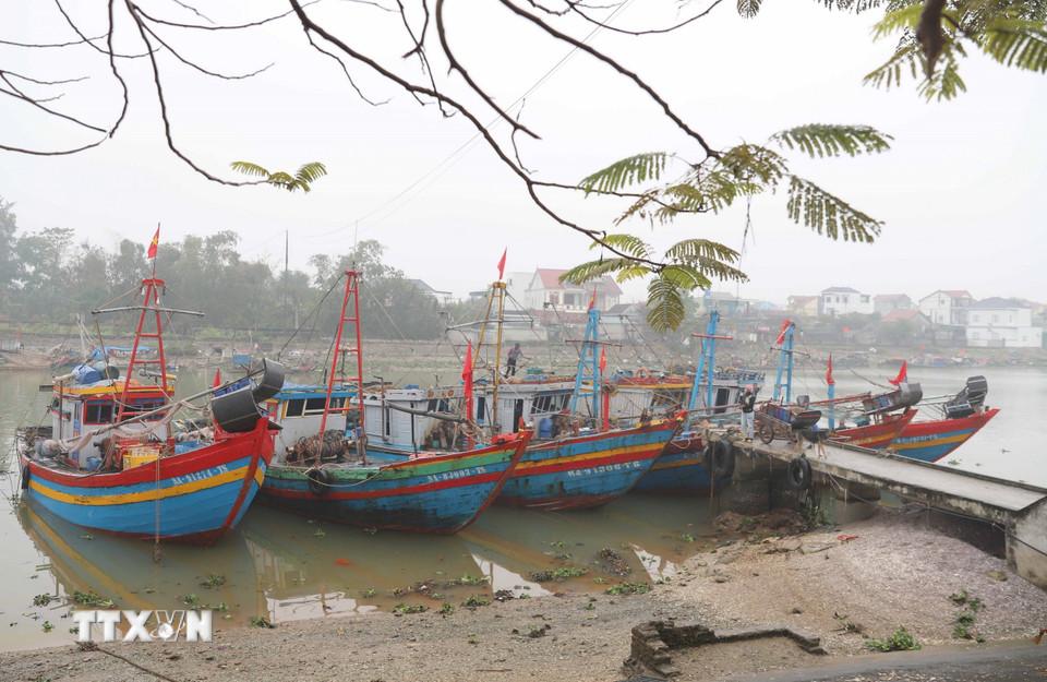 Điều kiện thời tiết rét đậm bất lợi cho sản xuất, đánh bắt hải sản, thuyền cá của ngư dân xã Ngọc Bích, huyện Diễn Châu, Nghệ An, dừng chuyến đi biển, neo đậu ở các bến, bãi trên các luồng, lạch. (Ảnh: Xuân Tiến/TTXVN)