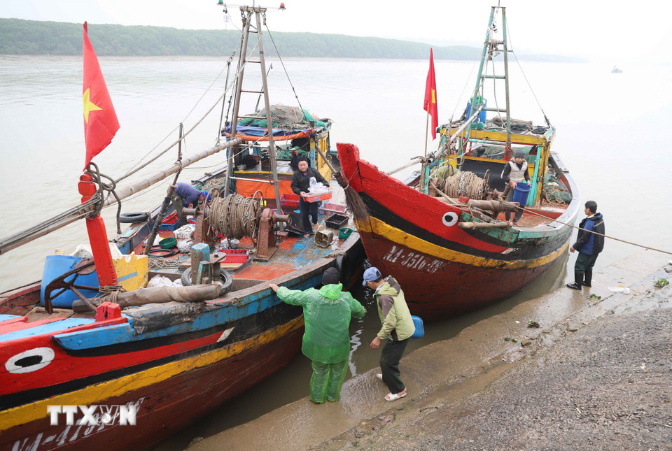 Thuyền đánh cá cập bến, ngư dân vận chuyển hải sản lên bờ tại cảng cá Lạch Vạn, xã Ngọc Bích, huyện Diễn Châu, tỉnh Nghệ An. (Ảnh: Xuân Tiến/TTXVN)