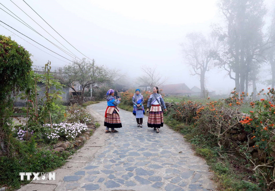 Những năm gần đây, bản luôn được du khách trong và ngoài nước đến tham quan trải nghiệm. (Ảnh: Quý Trung/ TTXVN)