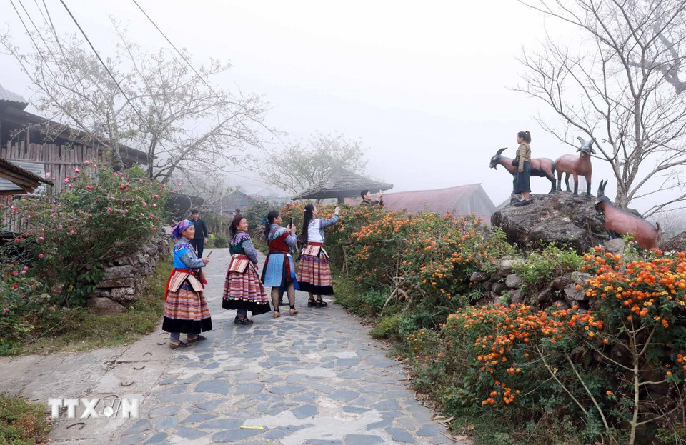Cảnh sắc bản Sì Thâu Chải được tạo ra bởi người dân gắn với thiên nhiên, dọc hai bên đường dẫn vào bản có nhiều loại hoa luôn thi nhau khoe sắc theo mùa. (Ảnh: Quý Trung/TTXVN)