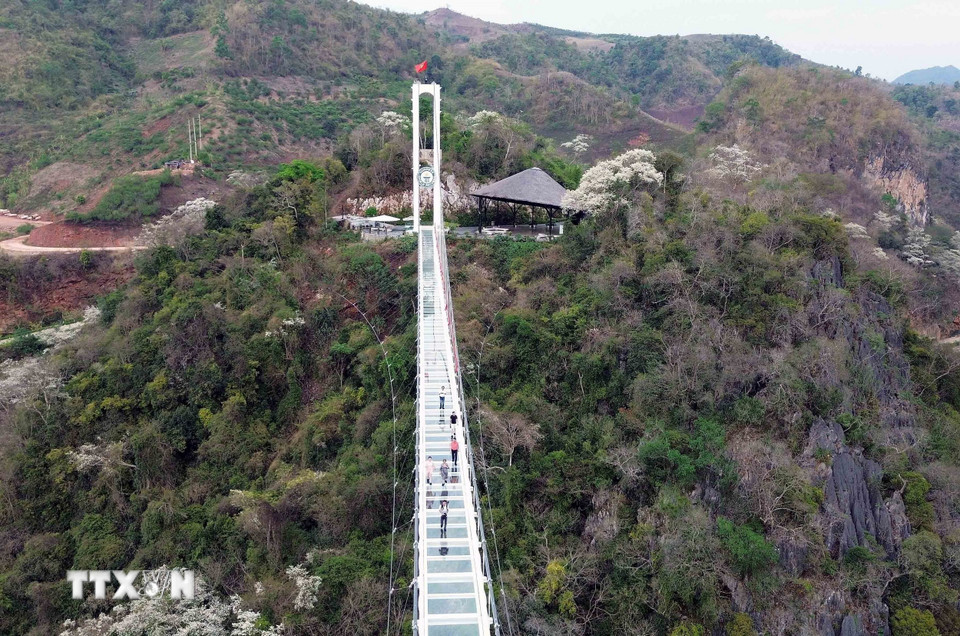Cầu kính Bạch Long, Khu du lịch Mộc Châu Island luôn là địa điểm hấp dẫn du khách. (Ảnh: Quang Quyết/TTXVN)