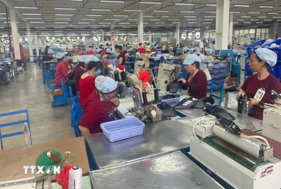 Hoạt động sản xuất tại Công ty Pou Phong Việt Nam, Khu công nghiệp Bàu Xéo (Đồng Nai). (Ảnh: Công Phong/TTXVN)